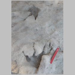 16-DSCN0218cr Baby.jpg